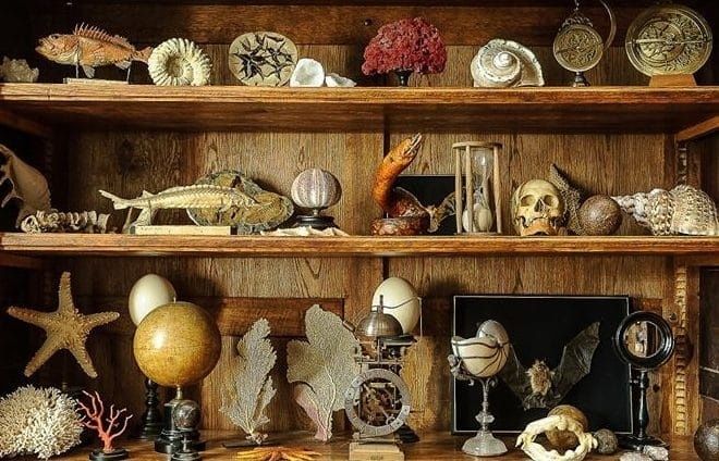 Die Wunderkammern der Renaissance: Wie das Staunen zum Spektakel wurde